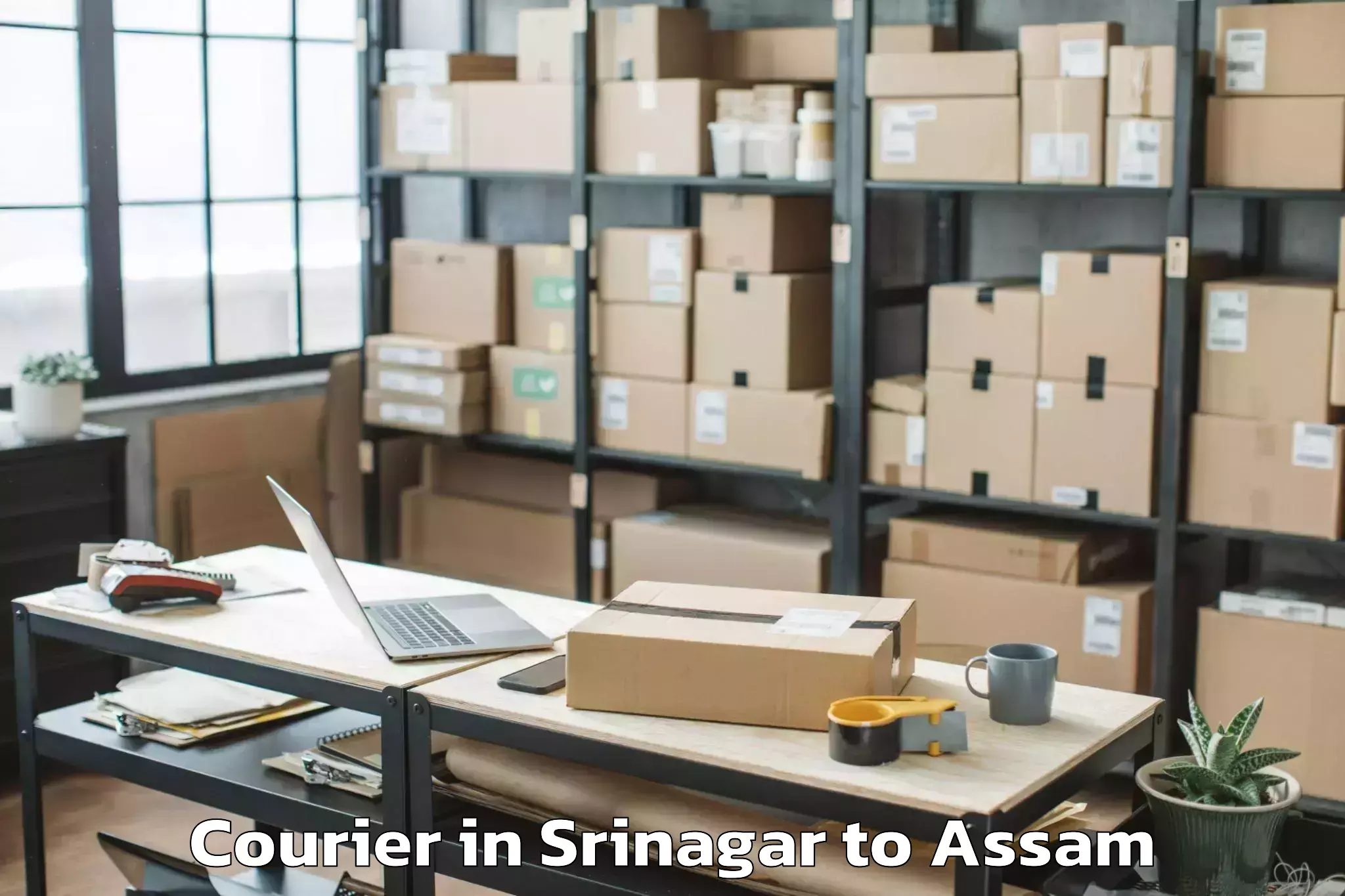 Reliable Srinagar to Duliajan Courier